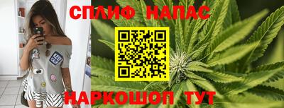 СК Шелехов