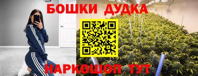 СК Шелехов