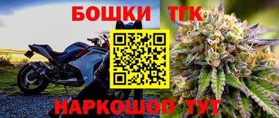 СК Шелехов